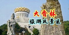 骚屄房东妹子中国浙江-绍兴大香林旅游风景区